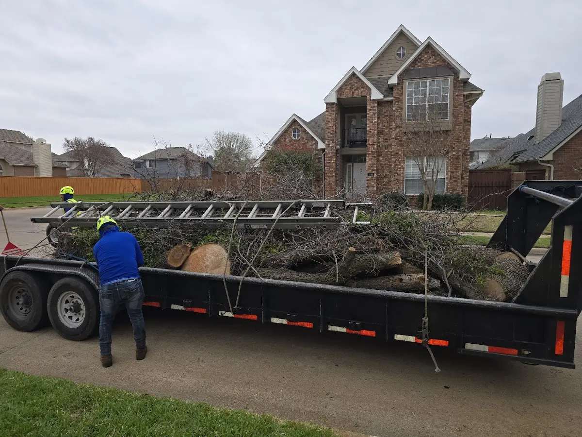 Expert Tree Fertilization with proper safety equipment in Tomahawk